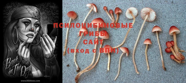 СК Алексин
