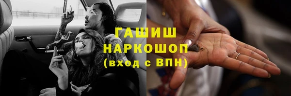 СК Алексин