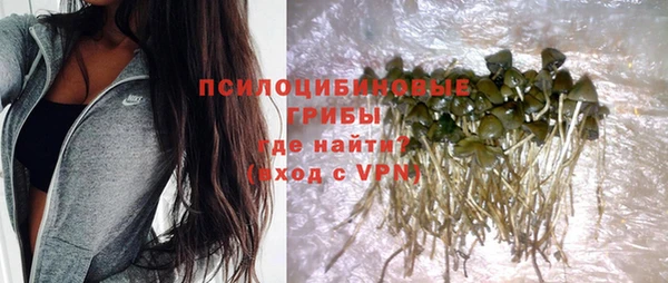 круглые Алексеевка