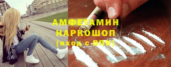 СК Алексин