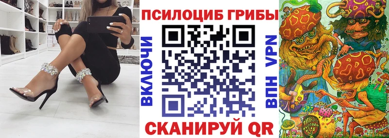 blacksprut как зайти Николаевск Галлюциногенные грибы MAGIC MUSHROOMS